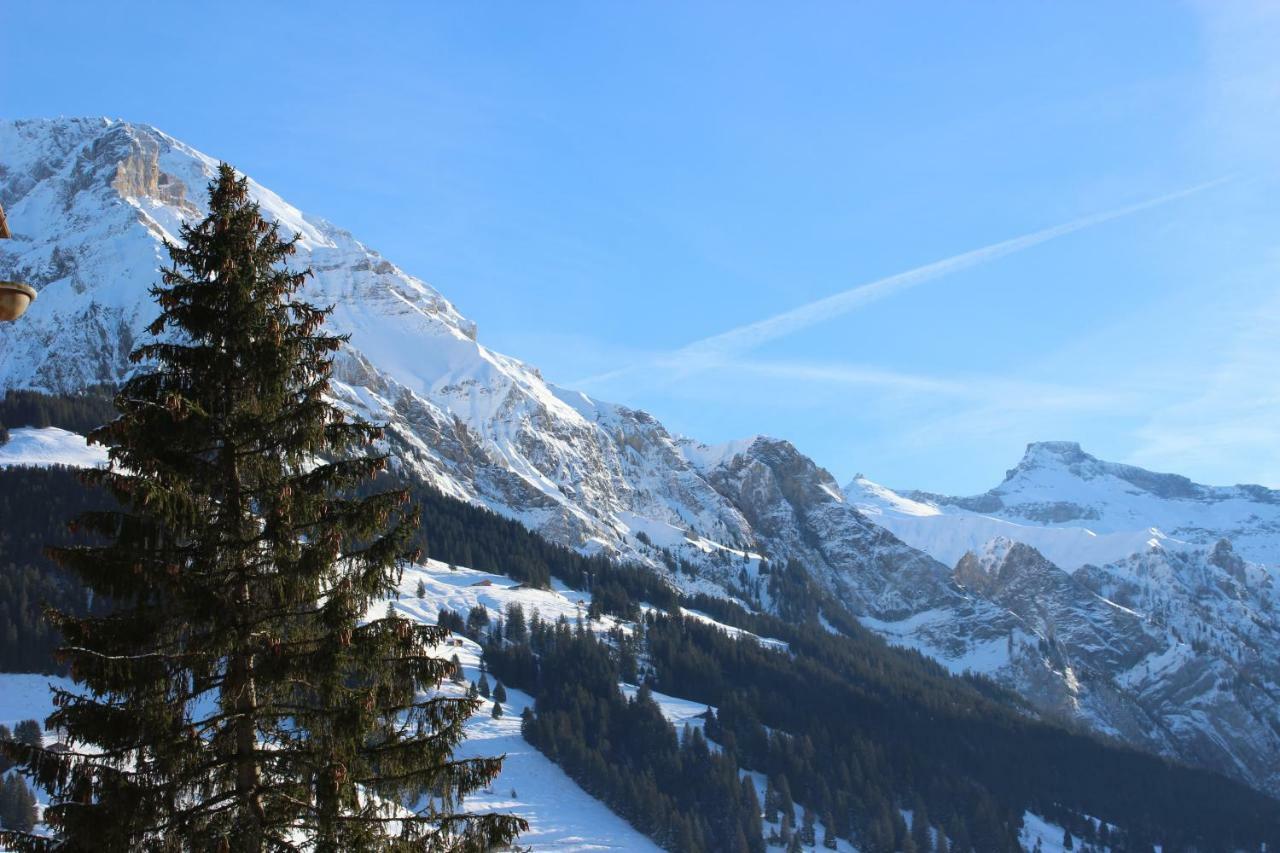 Sonnige, grosszügige Einzimmerwohnung im Zentrum Adelboden Exterior foto