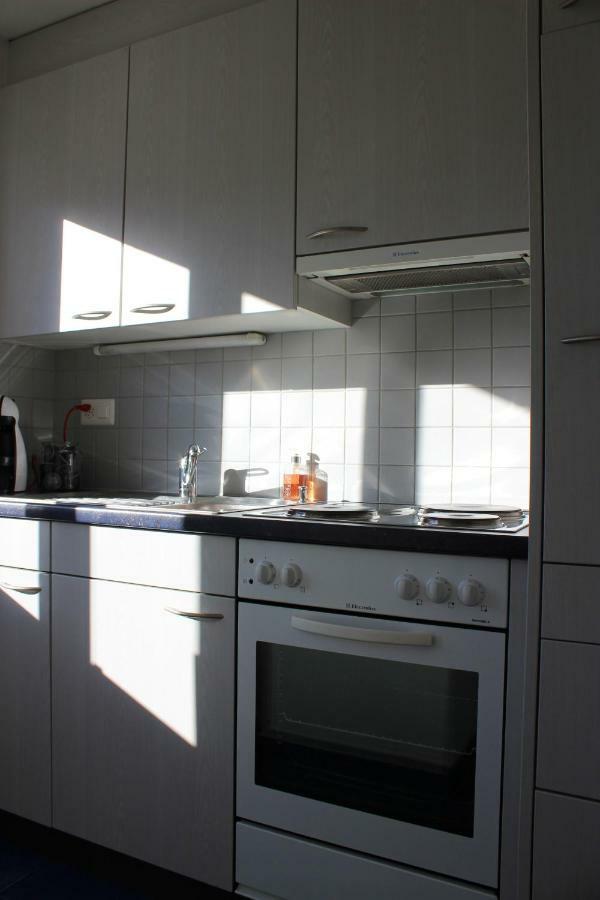 Sonnige, grosszügige Einzimmerwohnung im Zentrum Adelboden Exterior foto