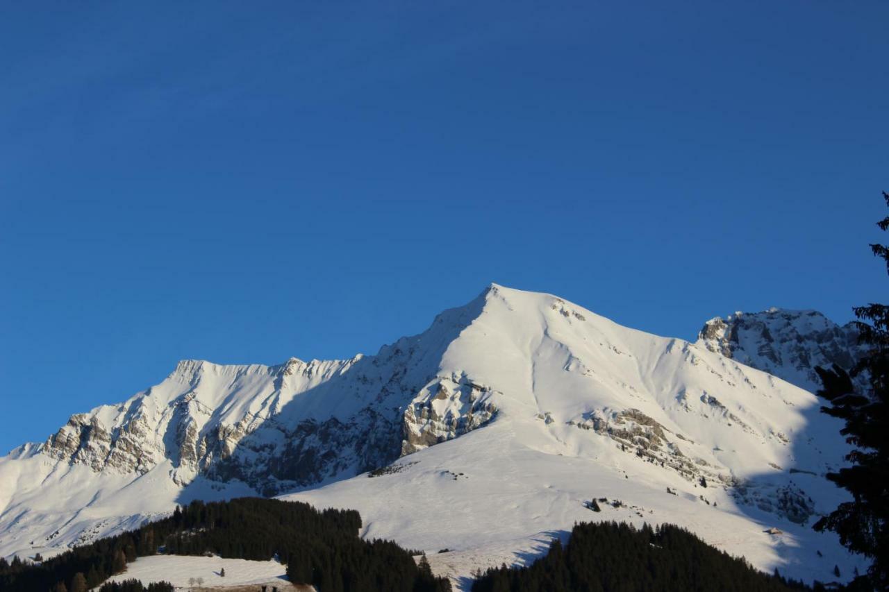 Sonnige, grosszügige Einzimmerwohnung im Zentrum Adelboden Exterior foto